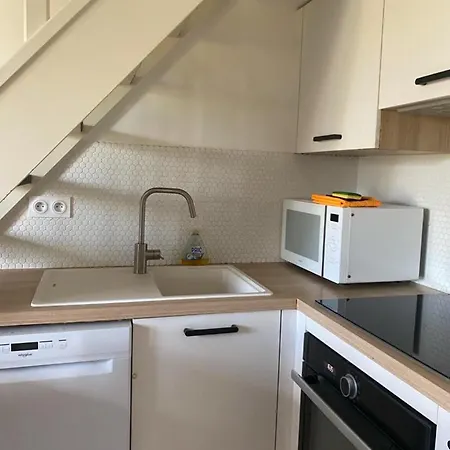 Tres Beau Duplex Avec Climatisation Et Piscine